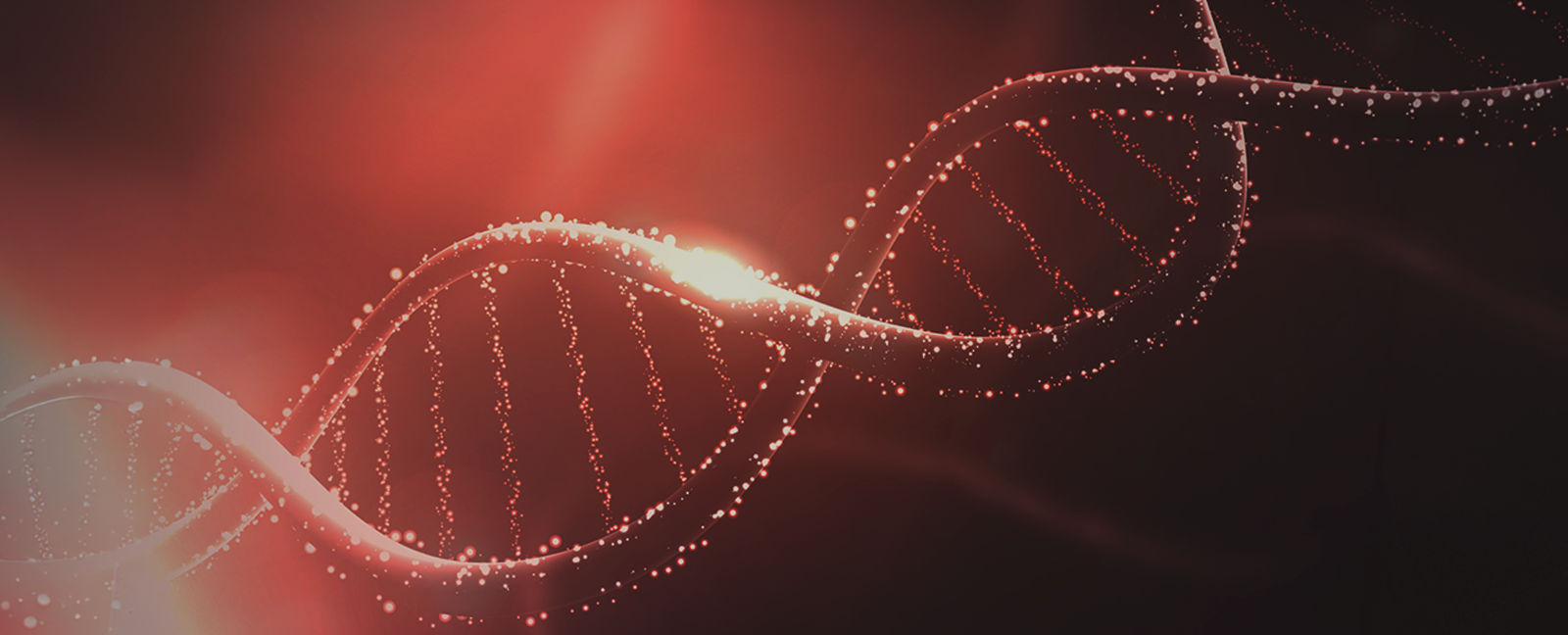 Imagem ilustrativa de um DNA